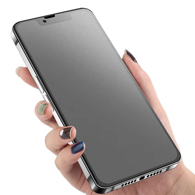 Matte Frosted Privacy Screen Protector (Pack of 2) for iPhone 12 to 16 Pro Max