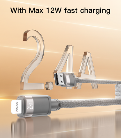 Yesido CA174 1 Meter 12W Fast Charging USB To IP With Max 480Mbps Data Transfer Magnetic Saving Data Cable